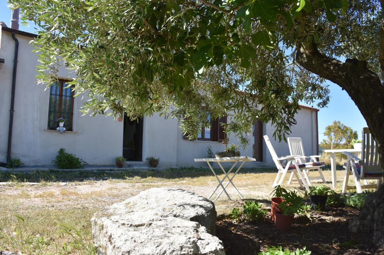 Su Cuile Historical Country House With Barbecue Martis Dış mekan fotoğraf